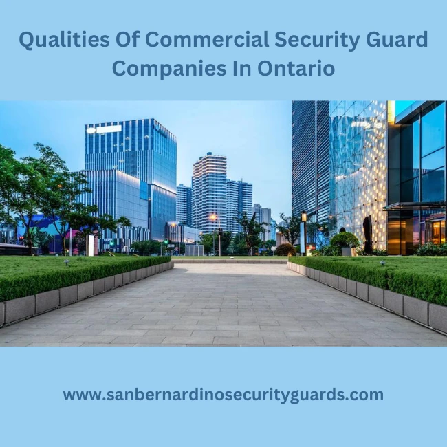 Commercial Security Guard Companies In Ontario
